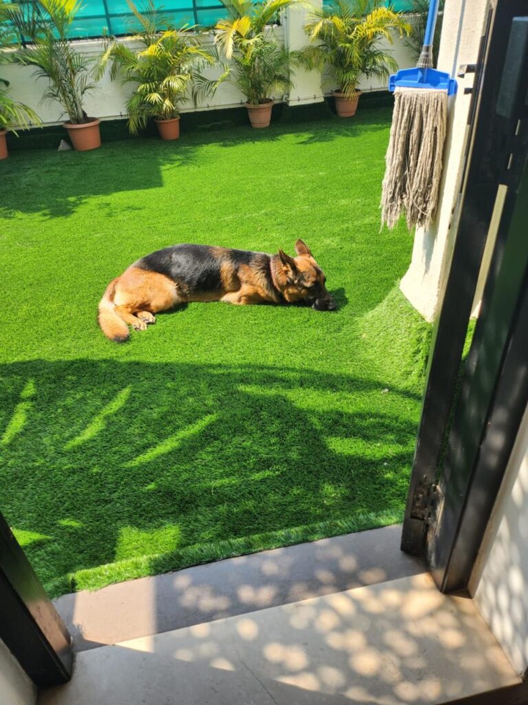 Garden Turf